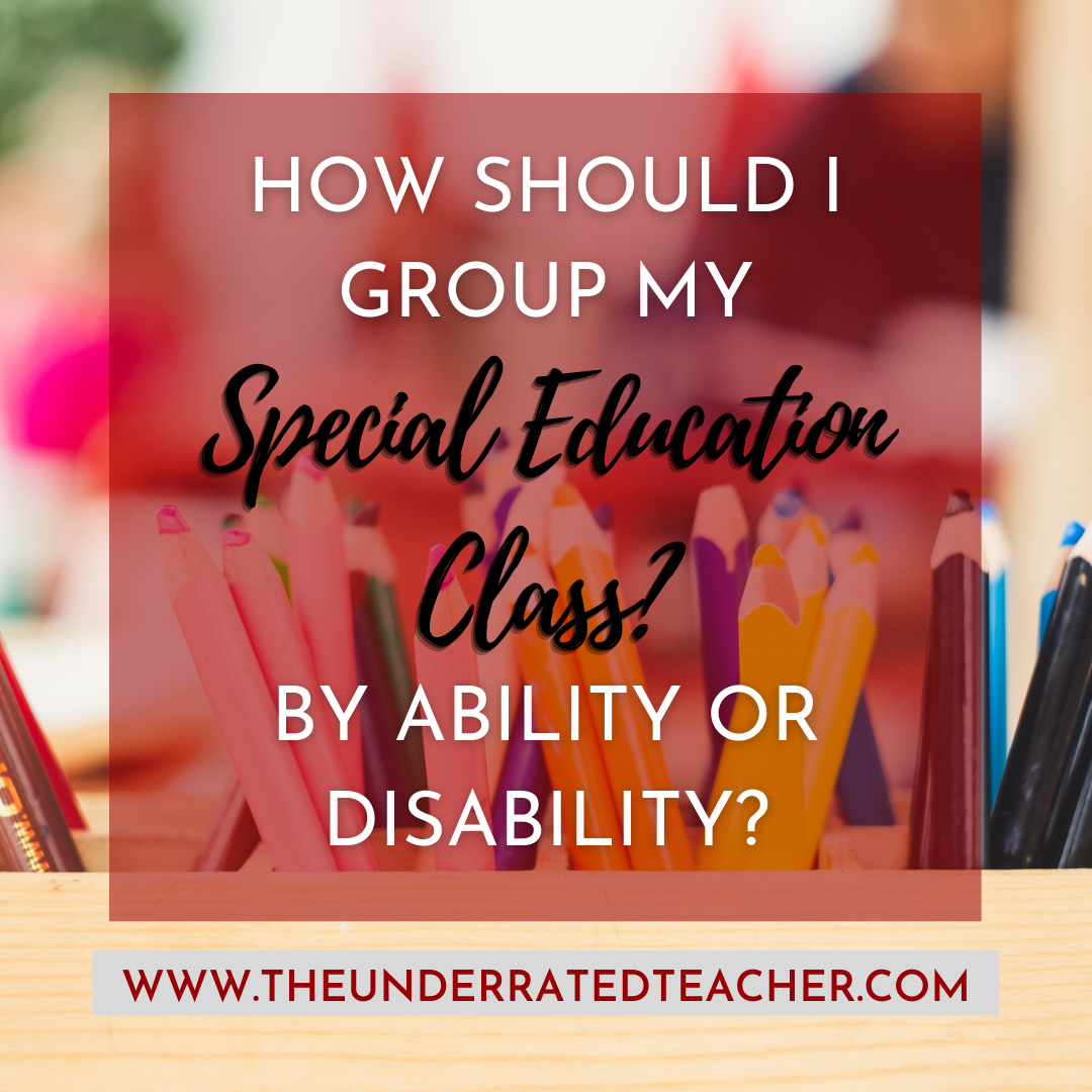 Special Education: What To Do in 30 Minute Groups 